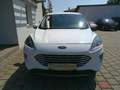 Ford Kuga 2,5 Duratec FHEV Titanium Aut. Weiß - thumbnail 7