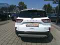 Ford Kuga 2,5 Duratec FHEV Titanium Aut. Weiß - thumbnail 4