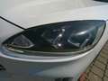 Ford Kuga 2,5 Duratec FHEV Titanium Aut. Weiß - thumbnail 9