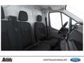 Ford 350 L2H2 Lkw VA Autm. Trend GJR PDC LADERAUMSCHUTZ Weiß - thumbnail 14