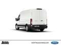 Ford 350 L2H2 Lkw VA Autm. Trend GJR PDC LADERAUMSCHUTZ Weiß - thumbnail 7