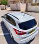 Ford Focus Ford Focus ST HistoriaCompleta Mountune Kit MT300 Blanco - thumbnail 3