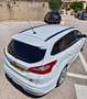 Ford Focus Ford Focus ST HistoriaCompleta Mountune Kit MT300 Blanco - thumbnail 5