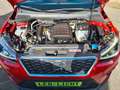 SEAT Arona TSI Xcellence DSG-Autom. +LED/APP/AHK 1.HD Rouge - thumbnail 18