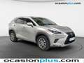 Lexus NX 300 300h Business Navigation 2WD Gris - thumbnail 2
