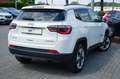 Jeep Compass 1.4 MultiAir Limited 4x4 Auto Weiß - thumbnail 10