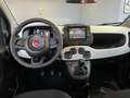 Fiat Panda "PANDINA" 1.0cc HYBRID -KM0- PREZZO REALE Vert - thumbnail 7