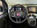 Fiat Panda "PANDINA" 1.0cc HYBRID -KM0- PREZZO REALE Vert - thumbnail 9
