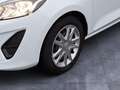 Ford Fiesta Trend 5-türig *Ganzjahresreifen*Frontscheibenheizu Blanc - thumbnail 6