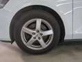 Ford Focus 1.5 TDCI EcoBlue S&St+NAVI+LED+KLIMA+6 GANG+KAMERA Wit - thumbnail 14