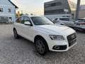 Audi Q5 2,0 TDI quattro Daylight S-tronic Weiß - thumbnail 7