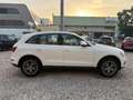 Audi Q5 2,0 TDI quattro Daylight S-tronic Weiß - thumbnail 6