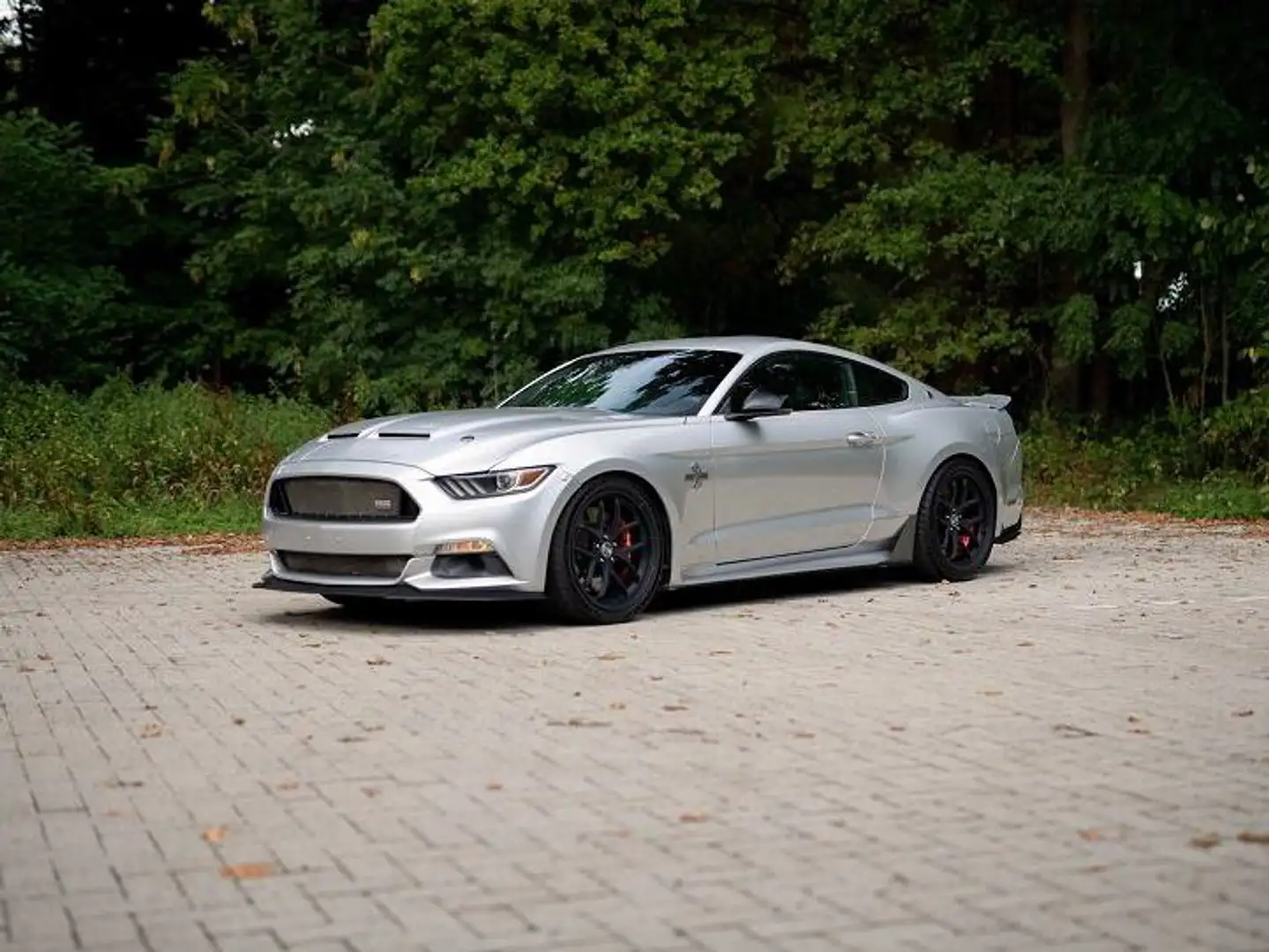 Shelby Mustang Super Snake 50th Anniversary Argento - 1