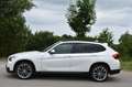 BMW X1 20 d xDrive*Sport-Line*Kamera*Pano*Xenon*SHZ Weiß - thumbnail 6
