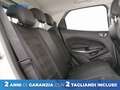 Ford EcoSport 1.0 ecoboost ST-Line s&s 125cv my20.25 Bianco - thumbnail 7