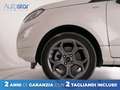 Ford EcoSport 1.0 ecoboost ST-Line s&s 125cv my20.25 Bianco - thumbnail 23