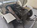 Austin-Healey Sprite MK1 Frog Weiß - thumbnail 4
