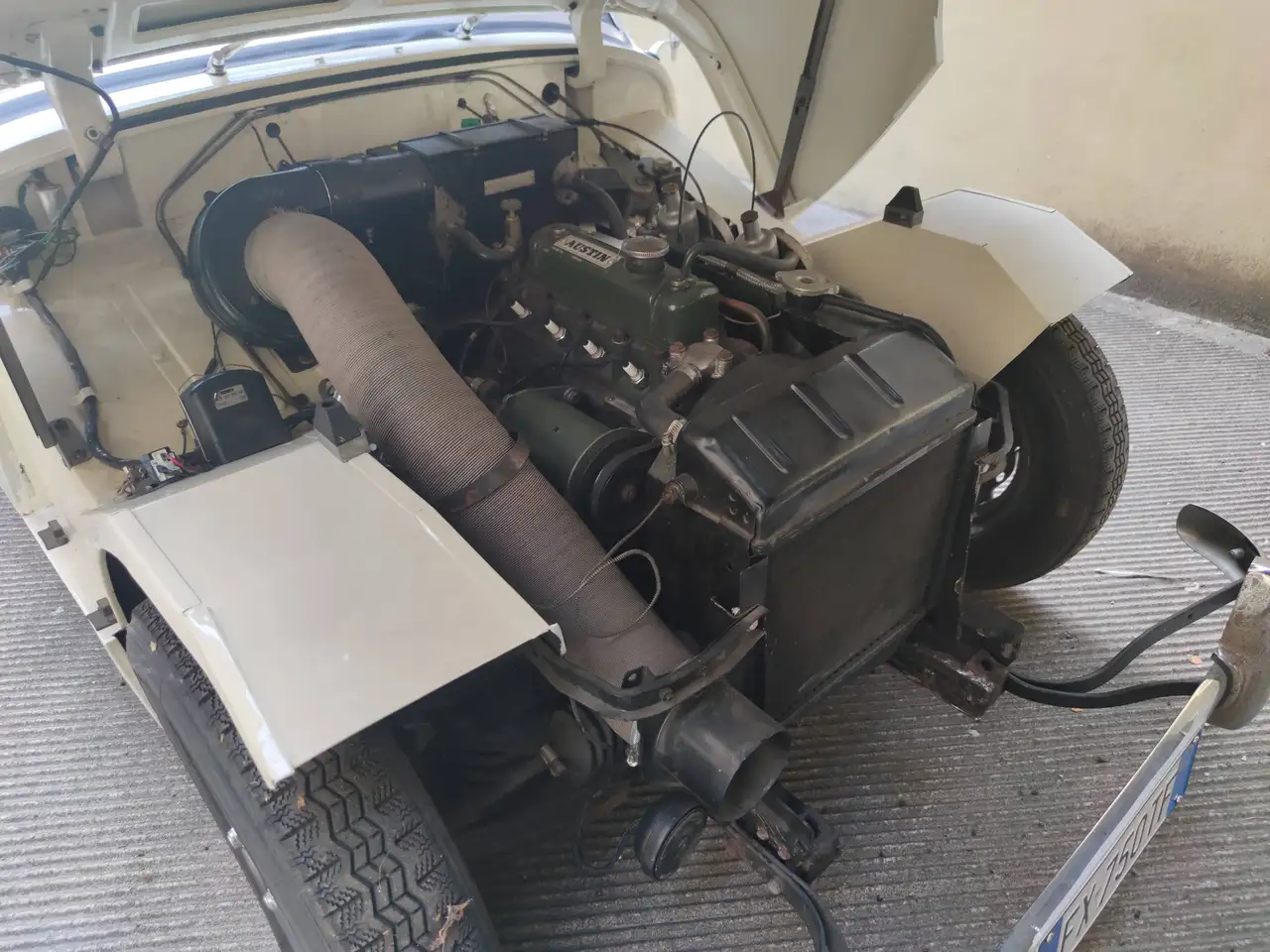 Austin-Healey Sprite MK1 Frog, foto 4
