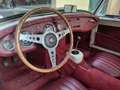 Austin-Healey Sprite MK1 Frog Weiß - thumbnail 2