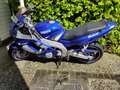 Yamaha YZF 600 R Thunder Cat Bleu - thumbnail 1
