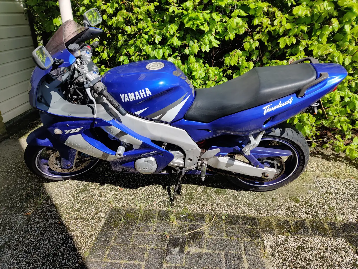 Yamaha YZF 600 R Thunder Cat Bleu - 1