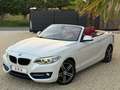 BMW 218 Cabriolet 218D//CABRIOLET//AUTO//CUIRE//XENON/GAR* Weiß - thumbnail 4