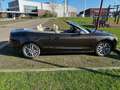 Audi A5 A5 Cabrio 2.7 TDI DPF multitronic Brun - thumbnail 7