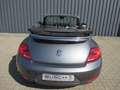 Volkswagen Beetle Cabriolet Design  1,2l 77kw 6-Gang Grau - thumbnail 4