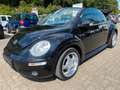 Volkswagen New Beetle Cabriolet 1.4 United SHZ PDC Schwarz - thumbnail 9