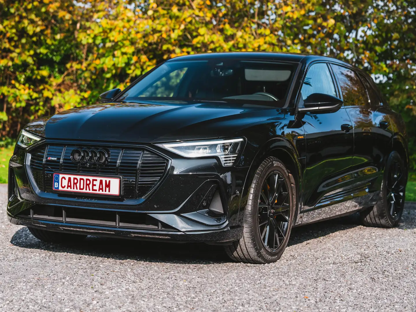 Audi e-tron E-Tron Q8 Quattro S line / Black Edition Noir - 1