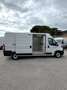 Fiat Ducato 2.2mjt 140cv L3H2 FRIGO KM 48.000 DEL 2023 Bianco - thumbnail 8