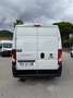 Fiat Ducato 2.2mjt 140cv L3H2 FRIGO KM 48.000 DEL 2023 Bianco - thumbnail 6
