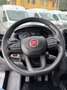 Fiat Ducato 2.2mjt 140cv L3H2 FRIGO KM 48.000 DEL 2023 Bianco - thumbnail 12