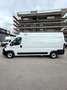 Fiat Ducato 2.2mjt 140cv L3H2 FRIGO KM 48.000 DEL 2023 Bianco - thumbnail 4