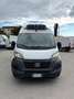 Fiat Ducato 2.2mjt 140cv L3H2 FRIGO KM 48.000 DEL 2023 Bianco - thumbnail 2