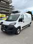 Fiat Ducato 2.2mjt 140cv L3H2 FRIGO KM 48.000 DEL 2023 Bianco - thumbnail 3