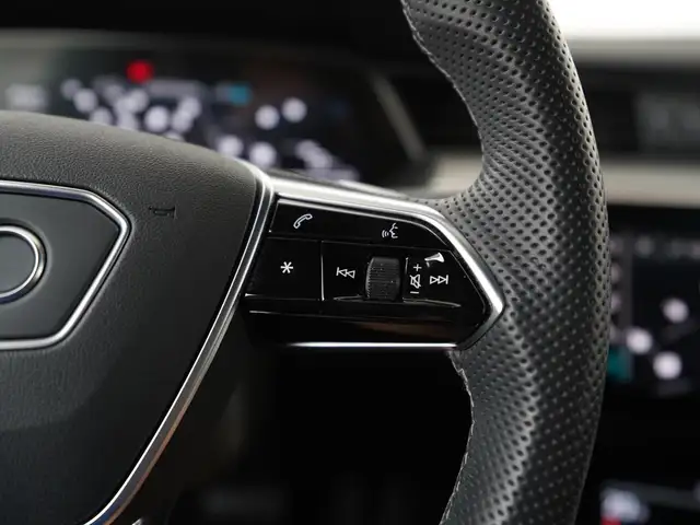 Audi E-Tron view 10
