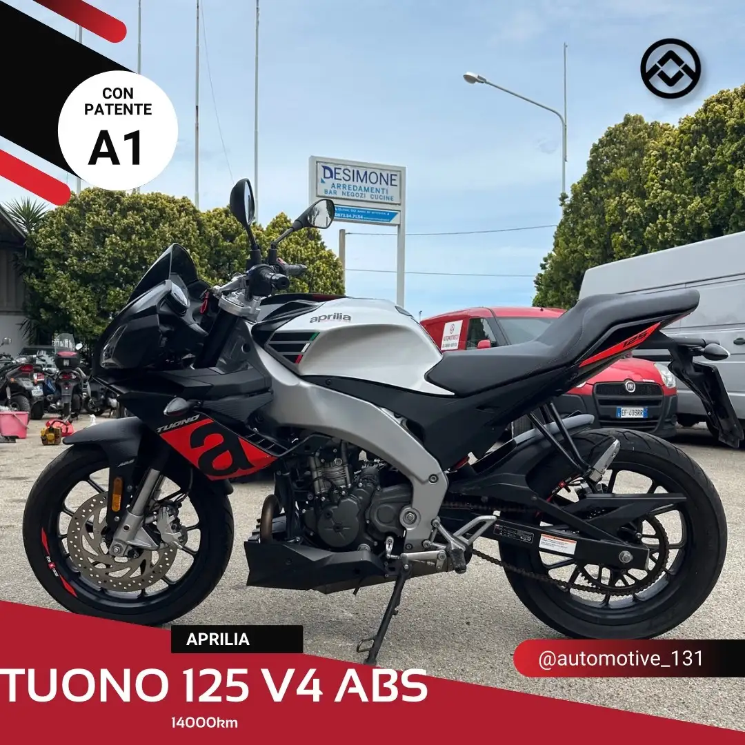 Aprilia Tuono Gris - 1