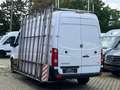 Volkswagen Crafter 2.0 TDI/L2/H2/KLIMA/Temp/Glasref/TOP Weiß - thumbnail 4