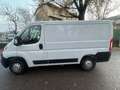 Opel Movano 2.2 HDI 120 CV 3 P L1 H1 EURO 6 D TEMP IVA ESCLUSA Bianco - thumbnail 3