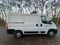 Opel Movano 2.2 HDI 120 CV 3 P L1 H1 EURO 6 D TEMP IVA ESCLUSA Bianco - thumbnail 7
