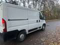 Opel Movano 2.2 HDI 120 CV 3 P L1 H1 EURO 6 D TEMP IVA ESCLUSA Bianco - thumbnail 6
