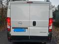 Opel Movano 2.2 HDI 120 CV 3 P L1 H1 EURO 6 D TEMP IVA ESCLUSA Bianco - thumbnail 5