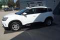 Citroen C5 Aircross BlueHDI 130 S&S Feel EAT8 Aut. Weiß - thumbnail 6