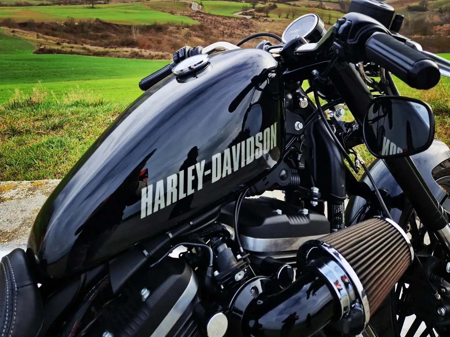 Harley-Davidson Roadster Negru - 2