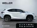 Lexus NX 300h E-FOUR F SPORT *Matrix*360°*Levinson*Pano* Wit - thumbnail 10