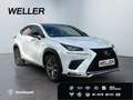 Lexus NX 300h E-FOUR F SPORT *Matrix*360°*Levinson*Pano* Wit - thumbnail 4