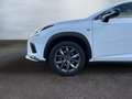Lexus NX 300h E-FOUR F SPORT *Matrix*360°*Levinson*Pano* Wit - thumbnail 22