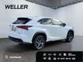 Lexus NX 300h E-FOUR F SPORT *Matrix*360°*Levinson*Pano* Wit - thumbnail 19