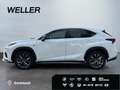 Lexus NX 300h E-FOUR F SPORT *Matrix*360°*Levinson*Pano* Wit - thumbnail 5